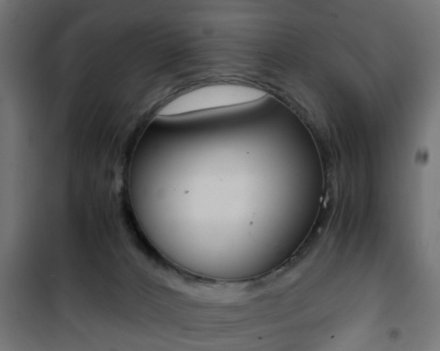 X0000101390032200807141143