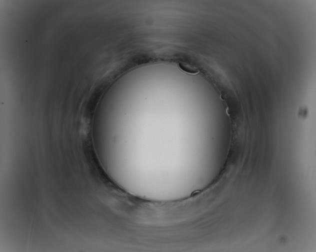 X0000101390033200807141143