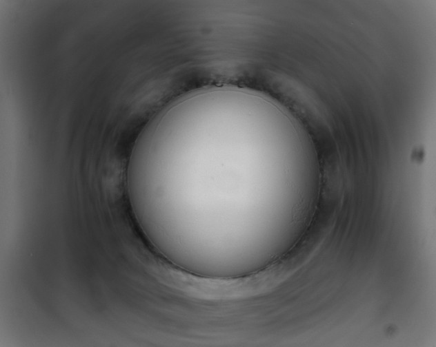 X0000101390034200807141143