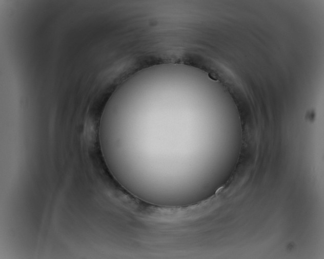 X0000101390037200807141143