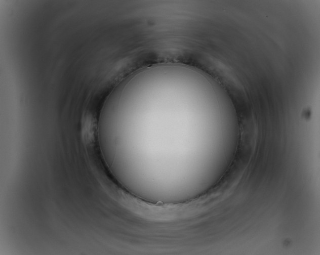 X0000101390038200807141143