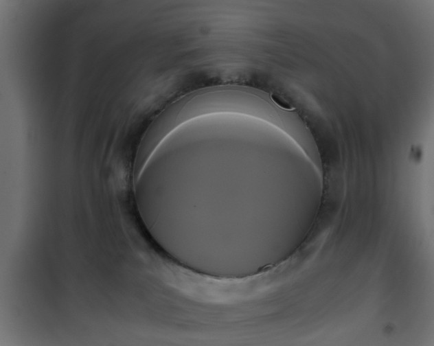 X0000101390039200807141143