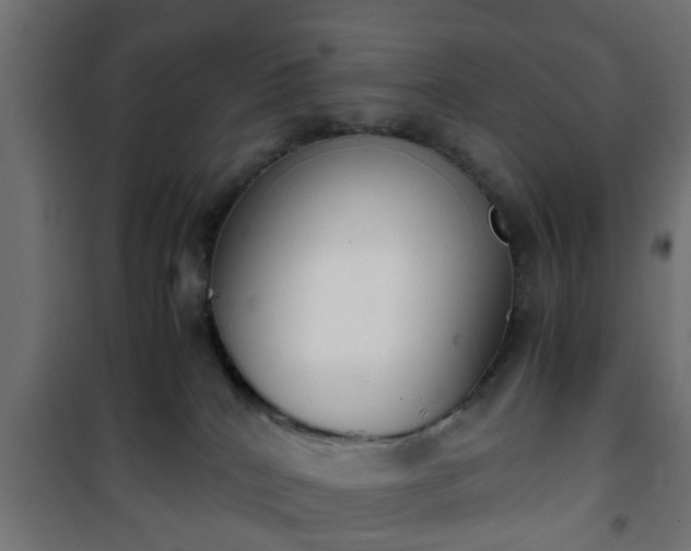 X0000101390040200807141143