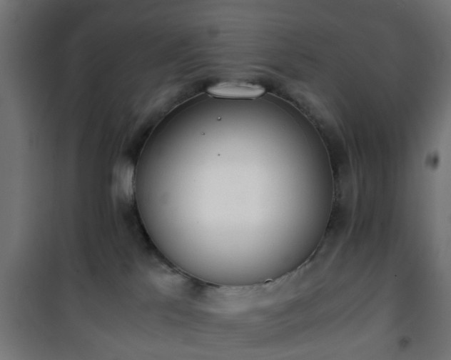 X0000101390041200807141143