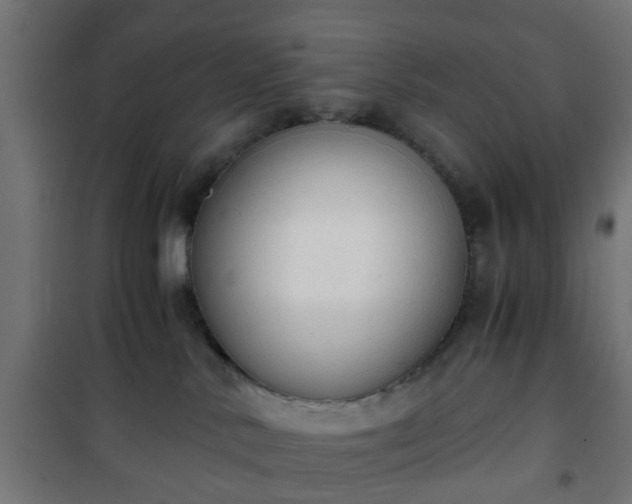 X0000101390042200807141143