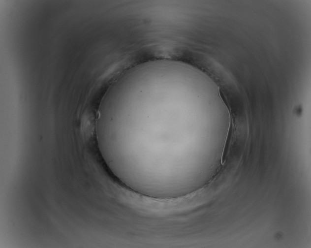 X0000101390043200807141143