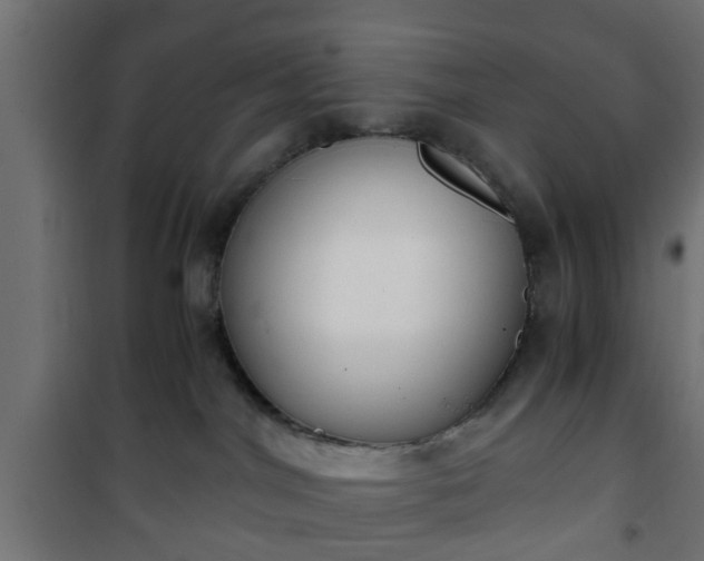 X0000101390044200807141143