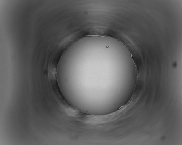 X0000101390045200807141143