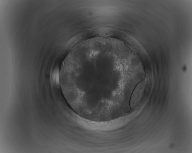 X0000101390046200807141143