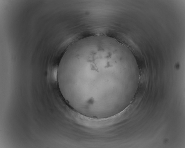 X0000101390047200807141143