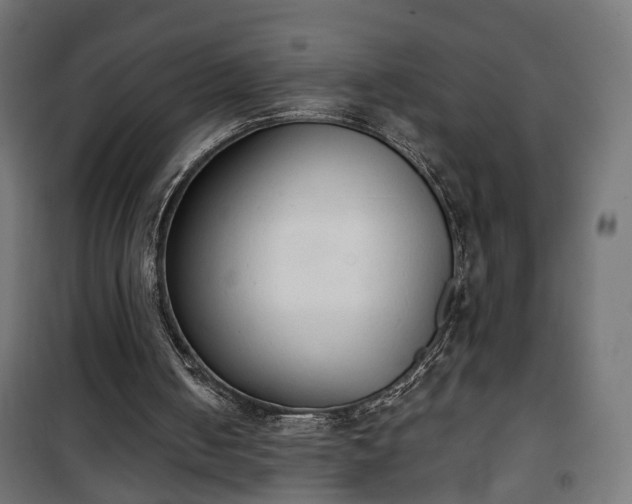 X0000101390050200807141142