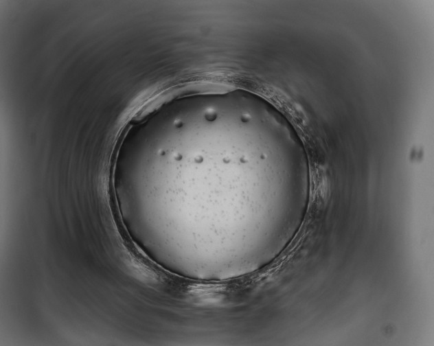 X0000101390051200807141142