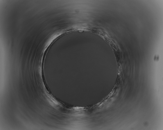 X0000101390052200807141142