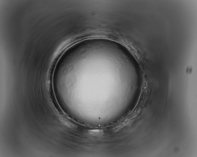 X0000101390053200807141142