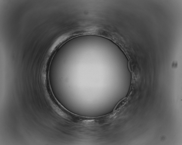 X0000101390054200807141142