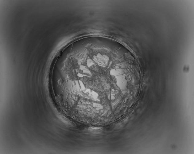 X0000101390055200807141142