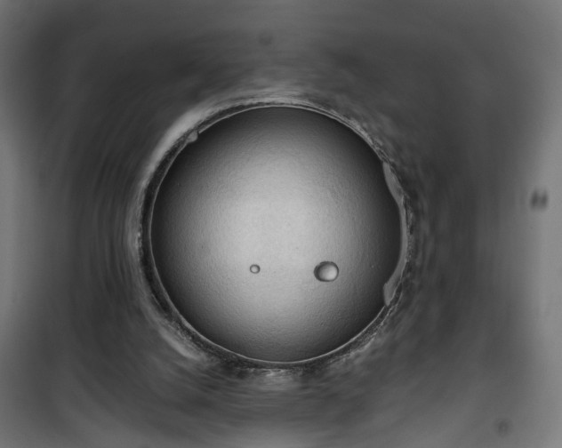 X0000101390056200807141142