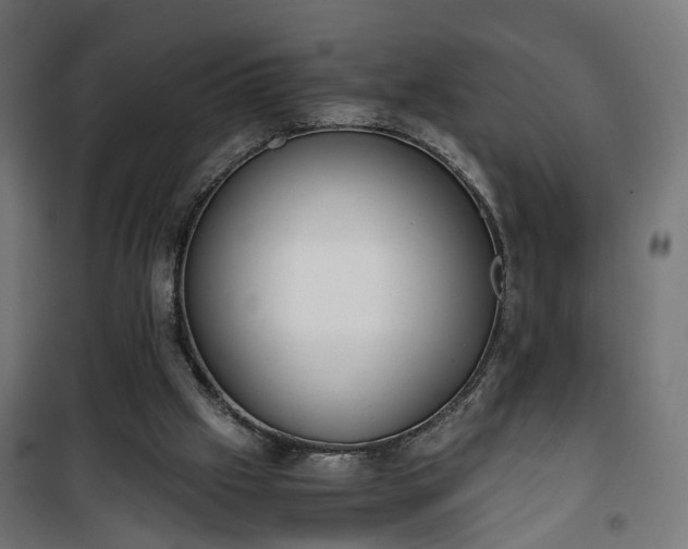 X0000101390057200807141142