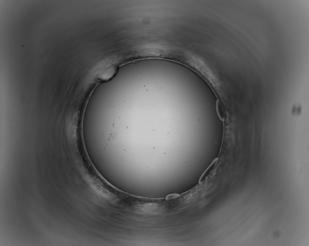 X0000101390058200807141142