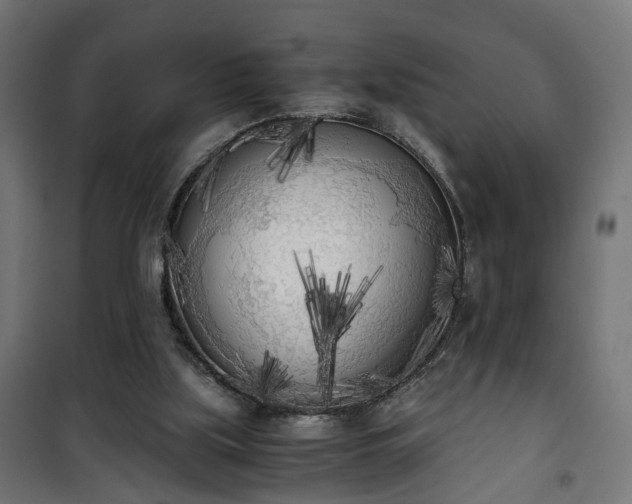 X0000101390059200807141142