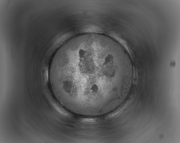 X0000101390061200807141142