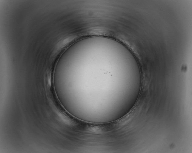 X0000101390062200807141142