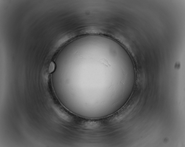 X0000101390063200807141142