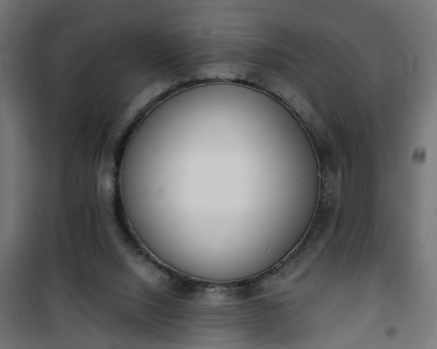 X0000101390064200807141142