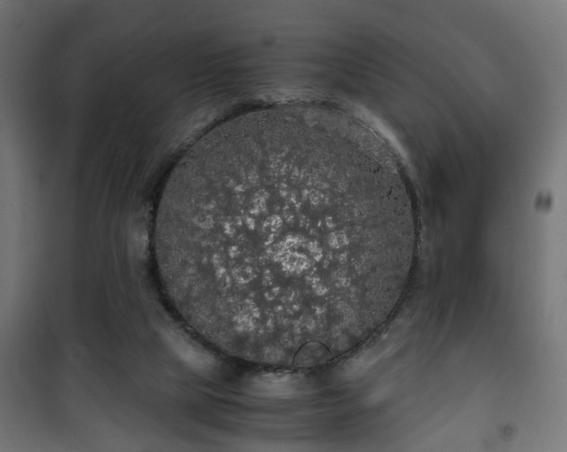 X0000101390065200807141142