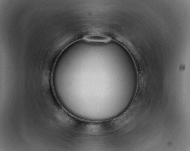 X0000101390066200807141142