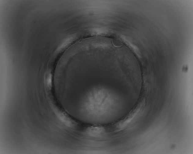 X0000101390067200807141142