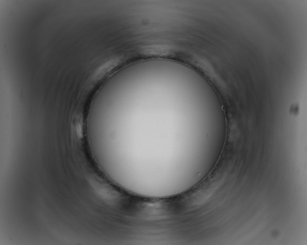 X0000101390068200807141142