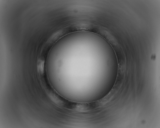 X0000101390070200807141142