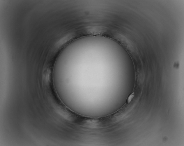 X0000101390071200807141142