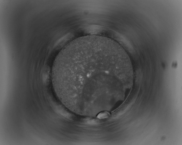 X0000101390073200807141142