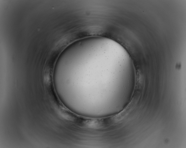 X0000101390074200807141143