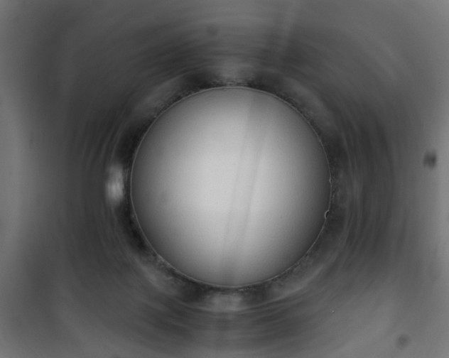 X0000101390075200807141143