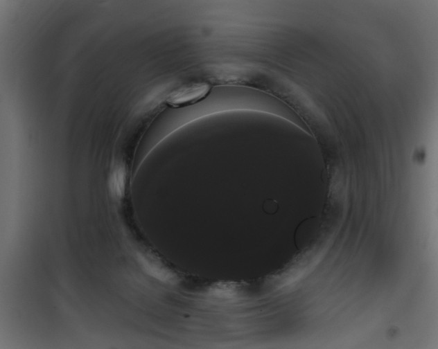 X0000101390076200807141143