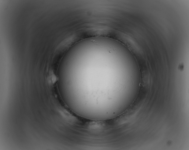 X0000101390077200807141143