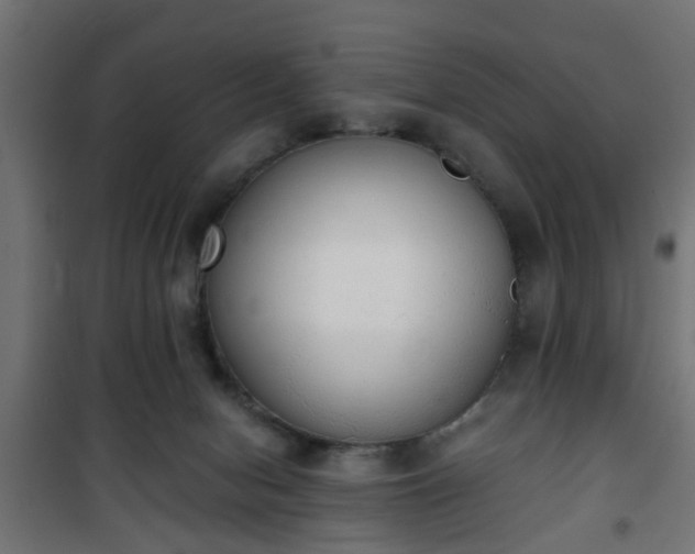 X0000101390078200807141143