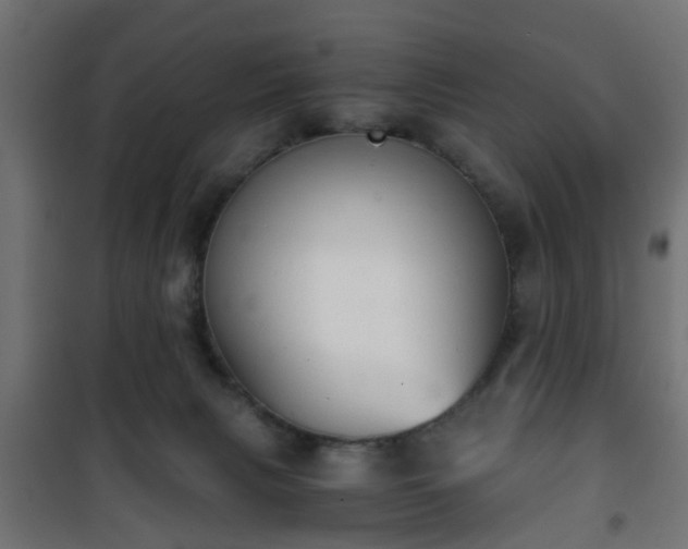 X0000101390079200807141143