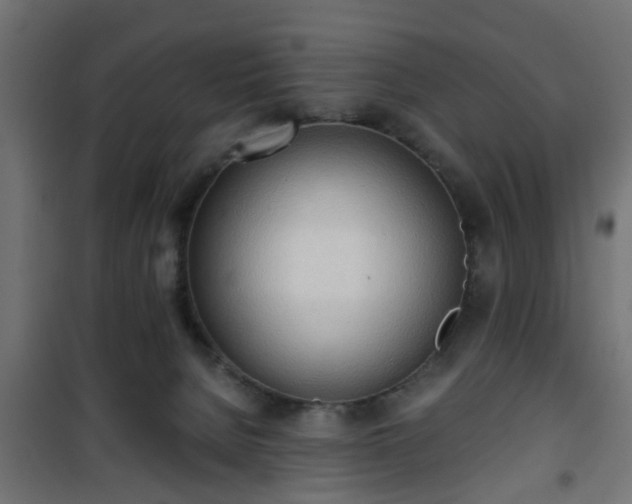 X0000101390080200807141143