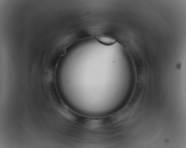 X0000101390081200807141143