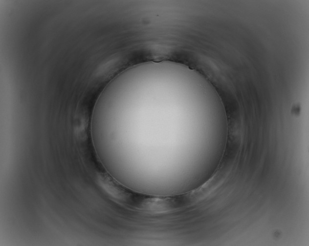 X0000101390082200807141143