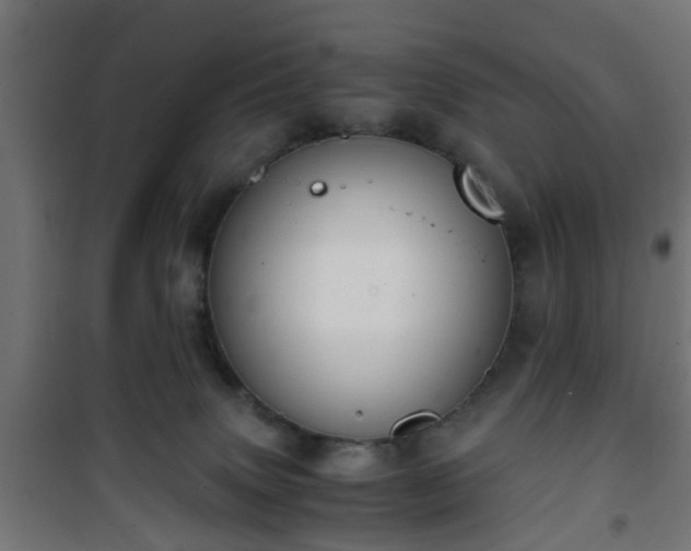 X0000101390083200807141143