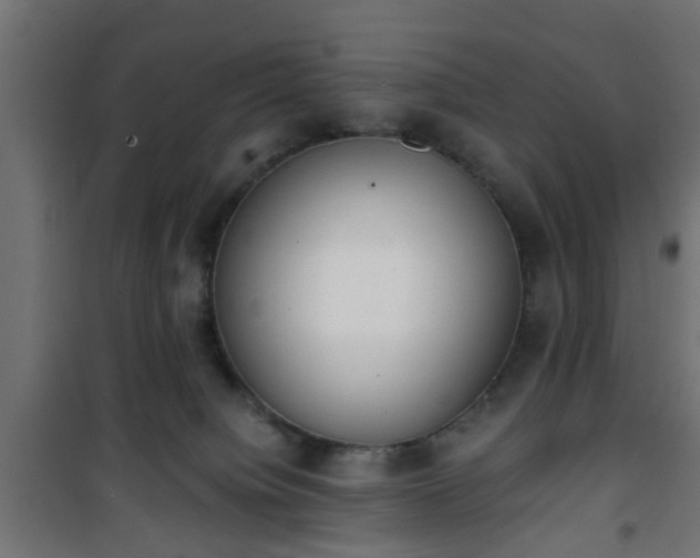 X0000101390084200807141143