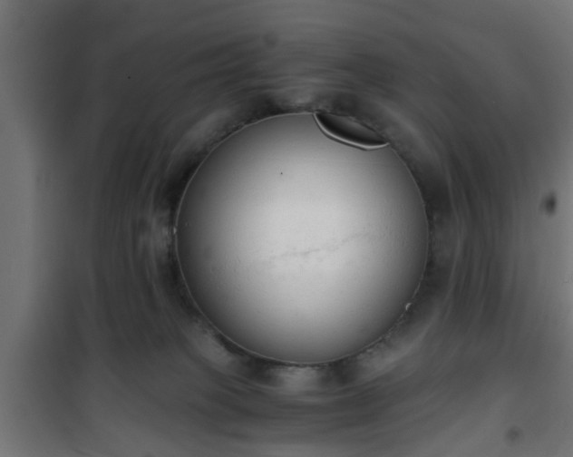 X0000101390085200807141143