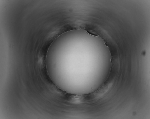 X0000101390088200807141143