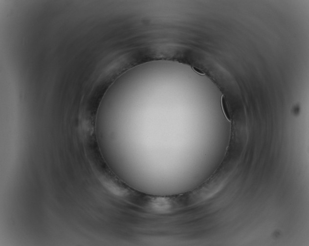 X0000101390091200807141143