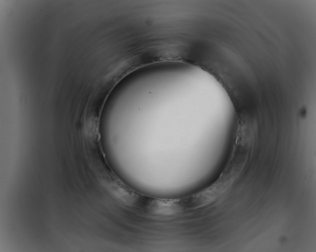 X0000101390093200807141143